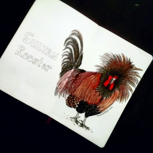 IMG_20150605_132736_edit_edit_edit_edit_edit_edit_edit_edit.jpg image