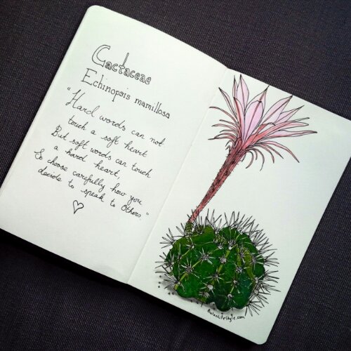 IMG_20150606_160208_edit_edit_edit1_edit_edit.jpg image