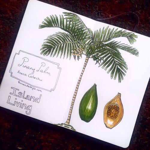 IMG_20150623_135000_edit_edit.jpg image