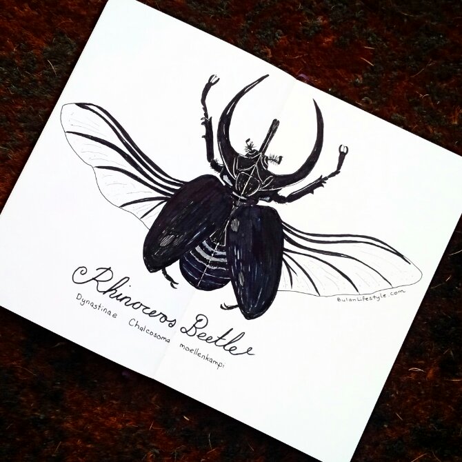 IMG_20150627_185922_edit_edit_edit.jpg image