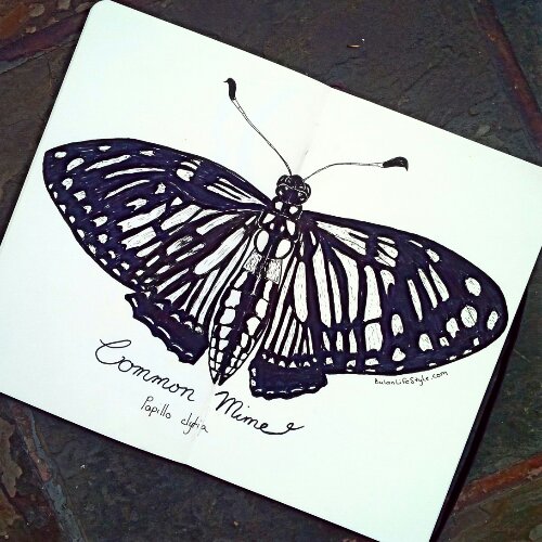 IMG_20150628_184515_edit_edit_edit.jpg image