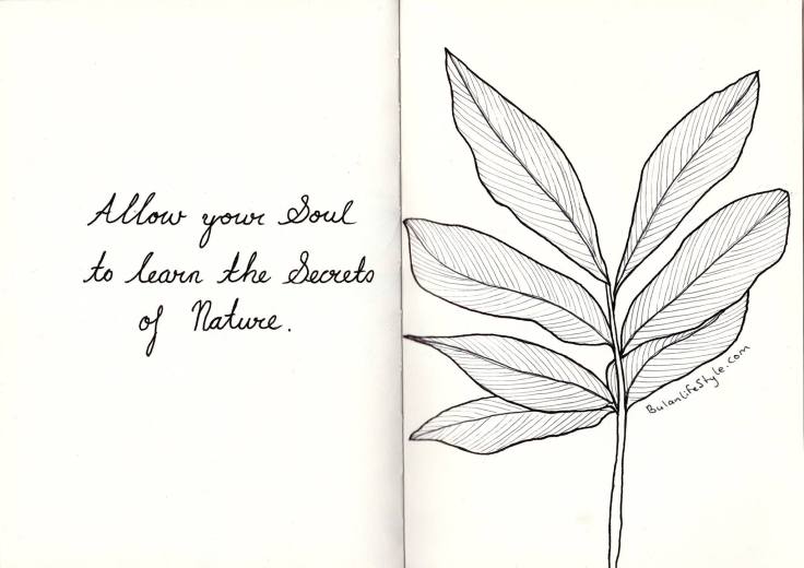 Quote of the day: Allow your soul to learn the secrets of nature