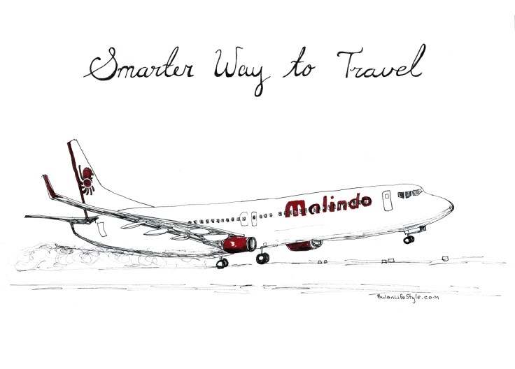 Malaindo airways drawing of plane