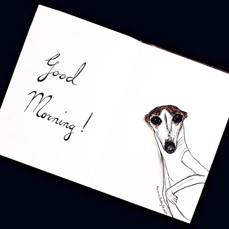 Buddy the whippet says Good Morning