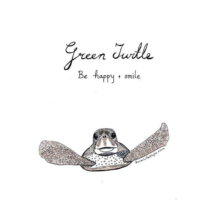 Green turtle drawing Quote of the day: Be happy and smile