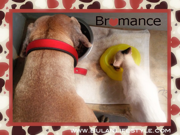 Bromance: Casper and Kobe