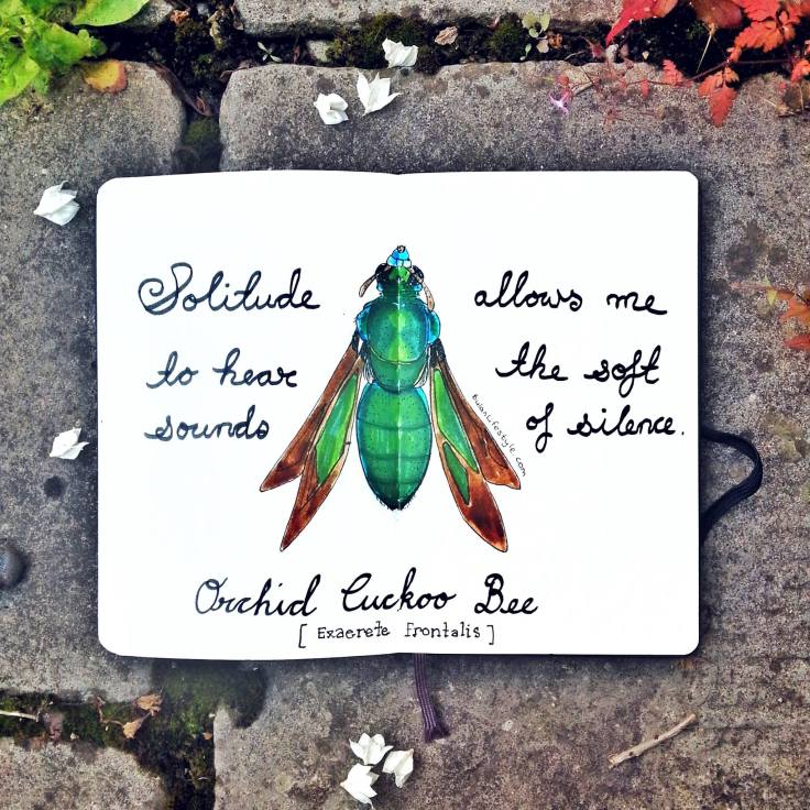 925 Orchid cuckoo bee