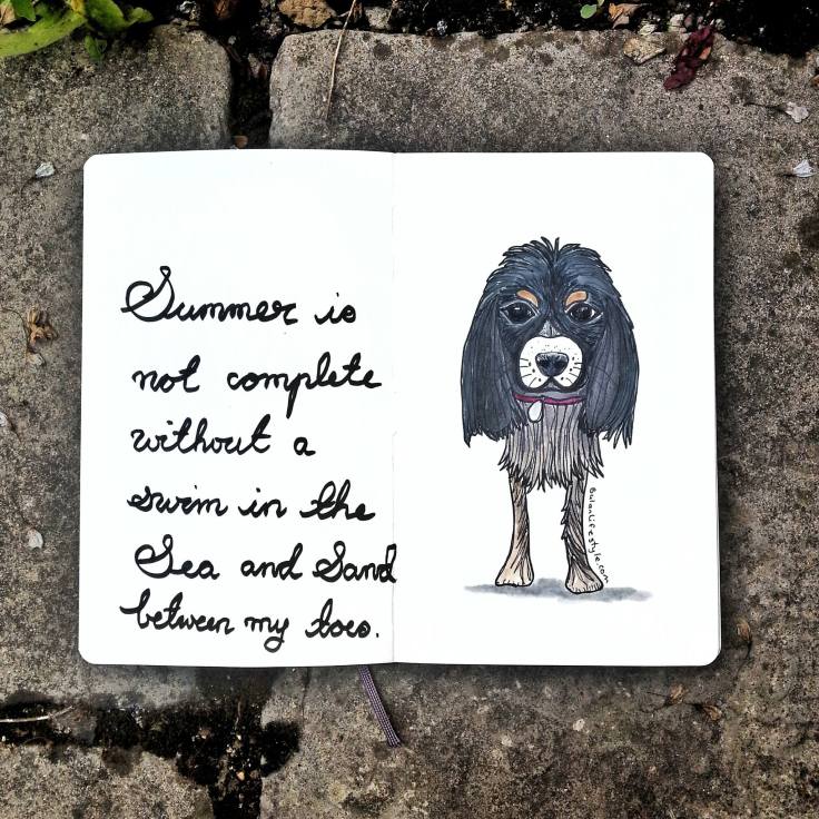 13724085_1156266021060823_3458603100603253001_o(1)