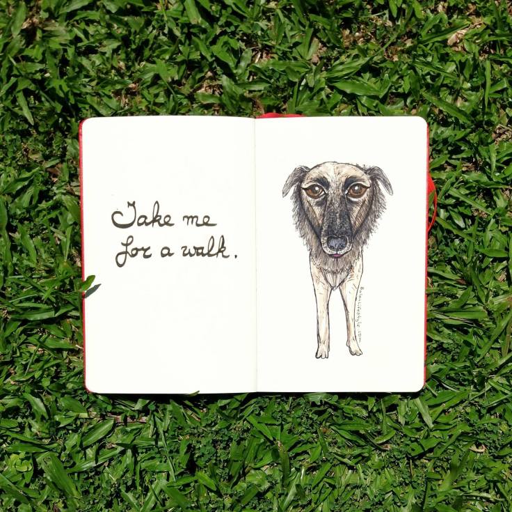 15122903_1256855151001909_7808695733276216801_o