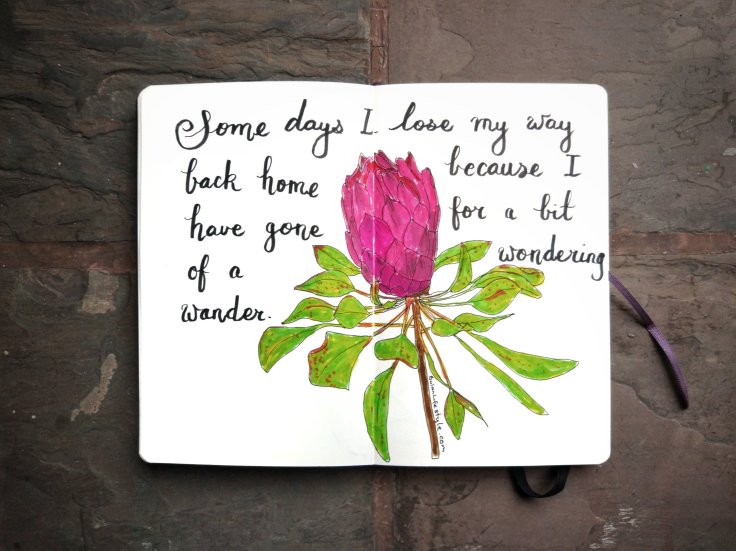 1159 Portugal flower