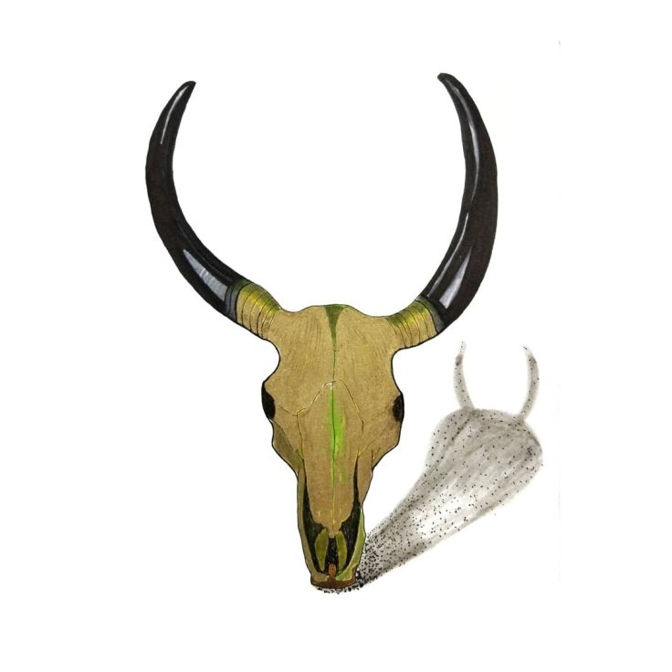 Goat skull