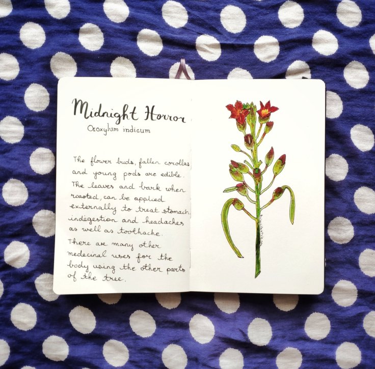 1266 midnight horror