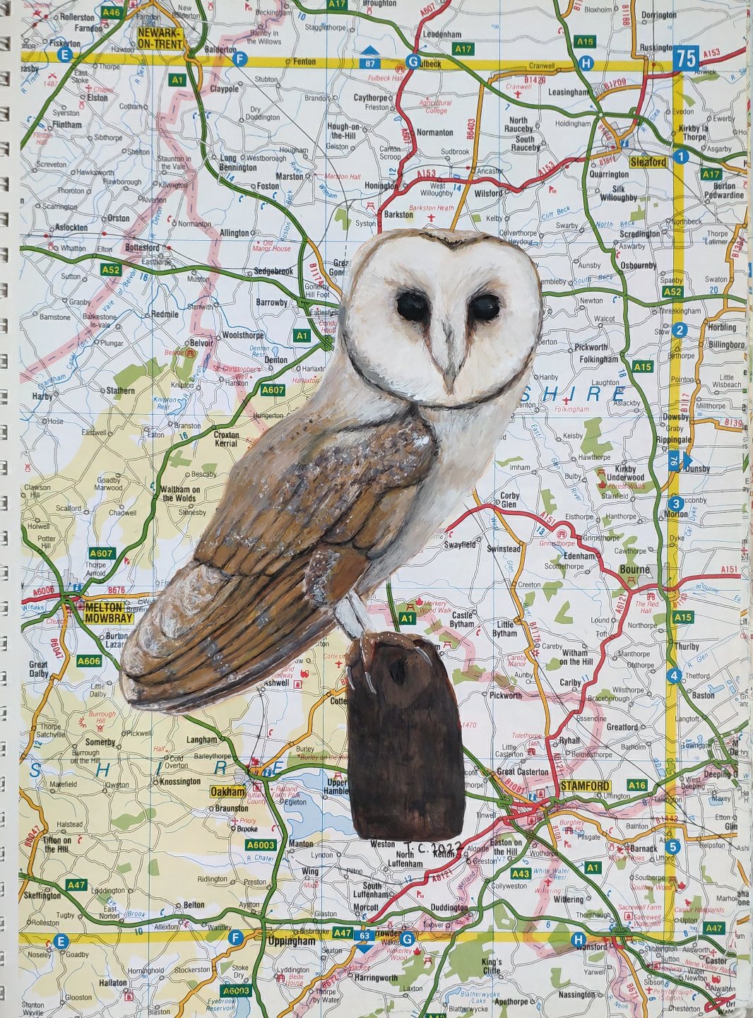 Barn owl painting on vintage UK map, Platinum Jubilee series (study 2), by Tiffany Choong